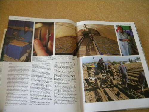 SOUTH AFRICAN WINES Text: John Kench, Phyllis Hands, David Hughes Photography: Cloete Breytenbach