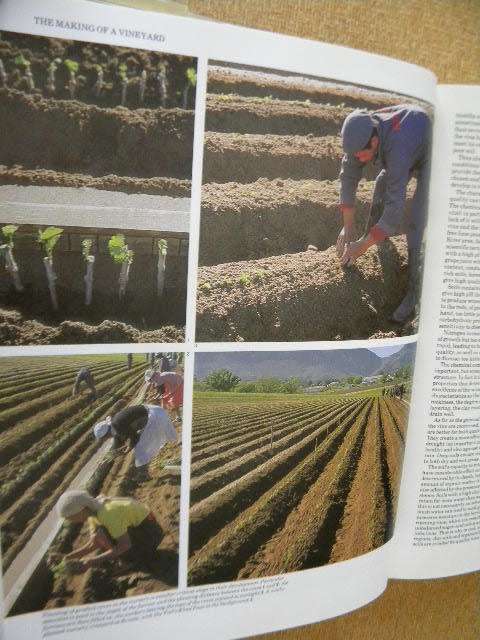SOUTH AFRICAN WINES Text: John Kench, Phyllis Hands, David Hughes Photography: Cloete Breytenbach