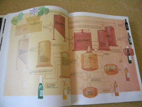 SOUTH AFRICAN WINES Text: John Kench, Phyllis Hands, David Hughes Photography: Cloete Breytenbach