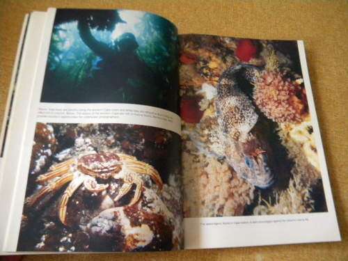 THE DIVE SITES OF SOUTH AFRICA  Guide to 170 coastal and inland dive destinations by Anton Koornhof