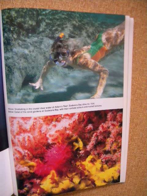THE DIVE SITES OF SOUTH AFRICA  Guide to 170 coastal and inland dive destinations by Anton Koornhof