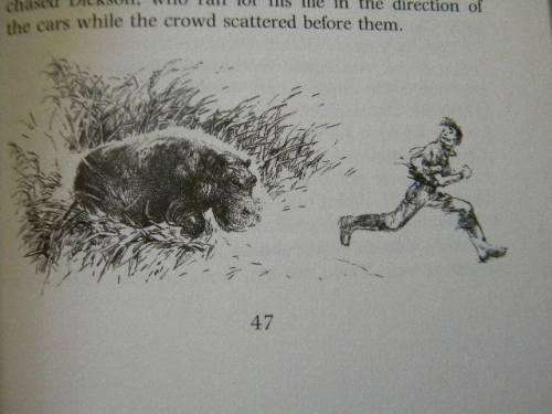 HUBERTA'S JOURNEY  by Cively van Straten  (SIGNED)  Illustrations: Cora Coetzee