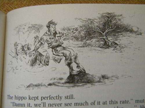 HUBERTA'S JOURNEY  by Cively van Straten  (SIGNED)  Illustrations: Cora Coetzee