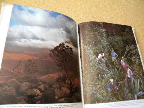 BY THE WATERS OF THE LETABA  by A. P. Cartwright  A History of the Transvaal Lowveld