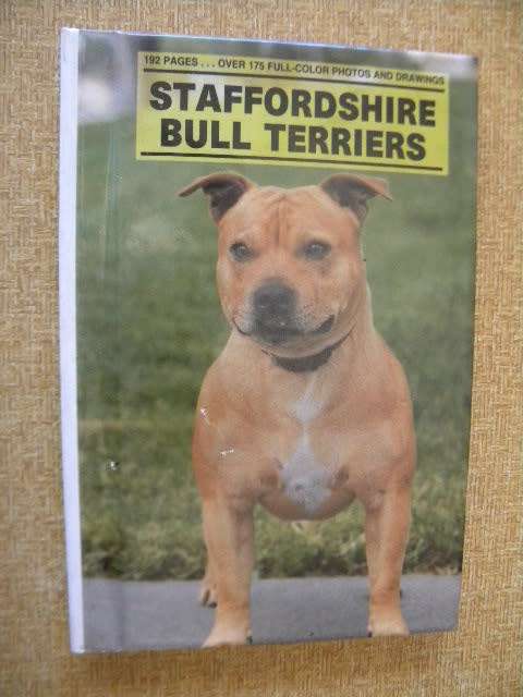 STAFFORDSHIRE BULL TERRIERS  by Anna Katherine Nicholas