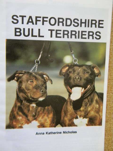 STAFFORDSHIRE BULL TERRIERS  by Anna Katherine Nicholas