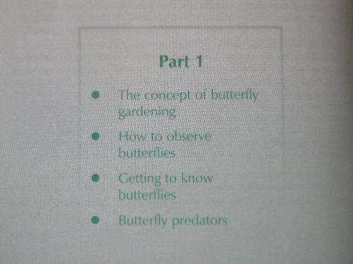 BUTTERFLY GARDENING IN SOUTH AFRICA  by Jill Reid