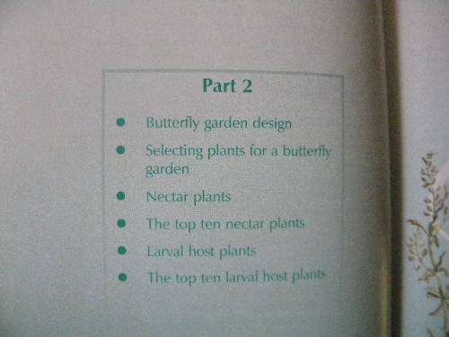 BUTTERFLY GARDENING IN SOUTH AFRICA  by Jill Reid
