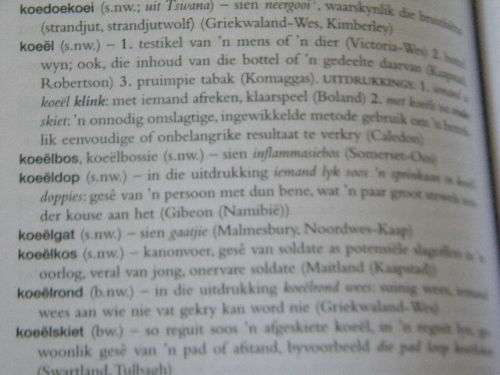 ANNERLIKE AFRIKAANS  deur Anton F. Prinsloo  (Woordeboek van Afrikaanse kontreitaal)