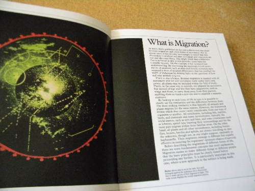 THE MYSTERY OF MIGRATION  Editor: Dr. Robin Baker