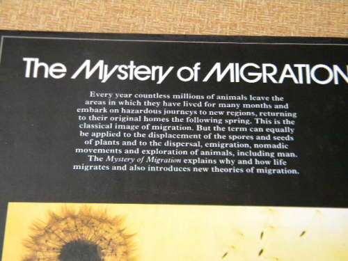 THE MYSTERY OF MIGRATION  Editor: Dr. Robin Baker