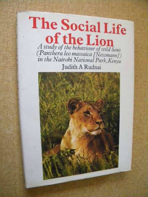 THE SOCIAL LIFE OF THE LION  by Judith A Rudnai  (Behaviour of wild lions in Nairobi National Park)
