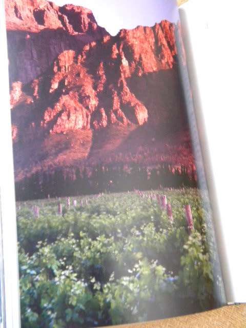 FIRE WATER  SOUTH AFRICAN BRANDY  by Quivertree Publications