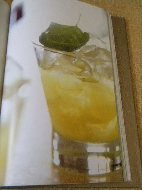 FIRE WATER  SOUTH AFRICAN BRANDY  by Quivertree Publications
