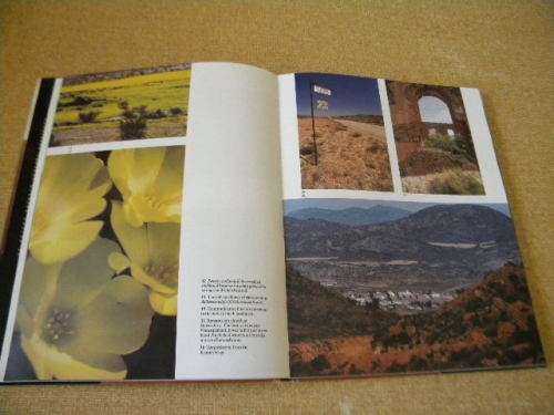 NAMAQUALAND  Thirstland in bloom  Text: A. A. J. van Niekerk  Photographer: Chris Jansen
