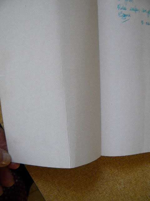 SCENES FROM THE SADDLE  Real and Imagined  by Egon Mendel