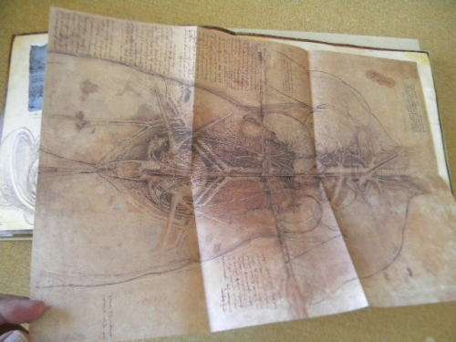THE WORLD OF LEONARDO DE VINCI  by Matthew Landrus
