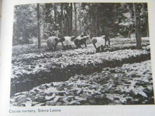 A SHORT HISTORY OF WEST AFRICA   A.D. 1800 to the present day  by T.A. Osae and A.T.O. Odunsi