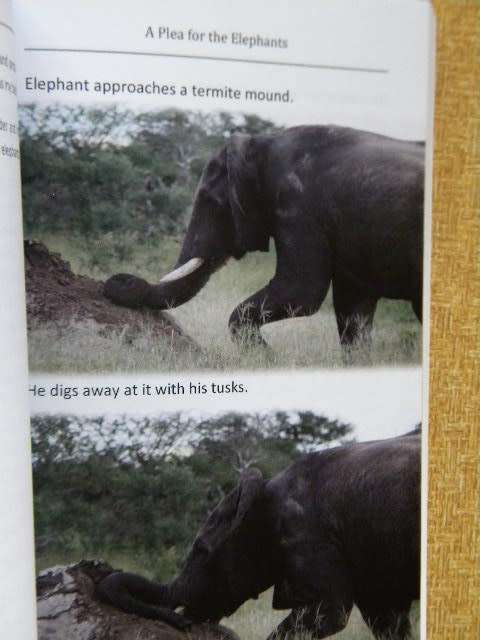 A PLEA FOR THE ELEPHANTS  Can Africa`s Elephants be saved?  by Kevin Parkinson  (SIGNED)