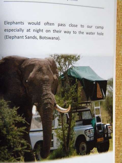 A PLEA FOR THE ELEPHANTS  Can Africa`s Elephants be saved?  by Kevin Parkinson  (SIGNED)