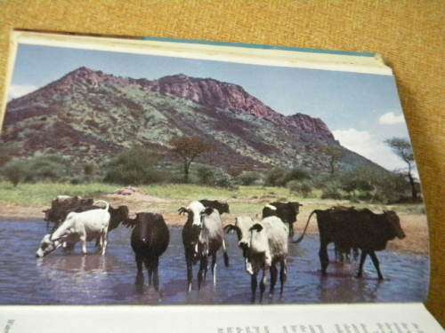AFRICA`S WILD GLORY by Phillip Keller