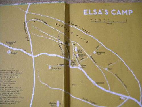 LIVING FREE The Story of Elsa and her Cubs by Joy Adamson