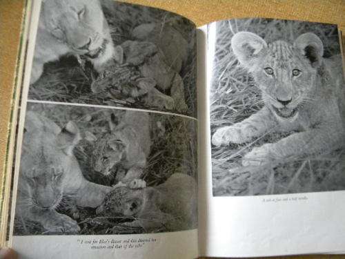 LIVING FREE The Story of Elsa and her Cubs by Joy Adamson