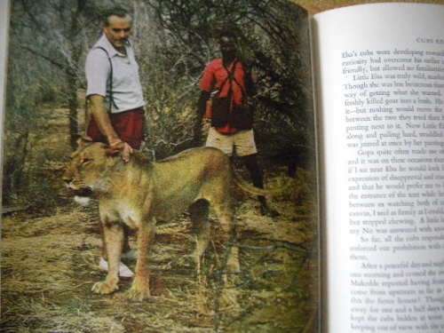 LIVING FREE The Story of Elsa and her Cubs by Joy Adamson