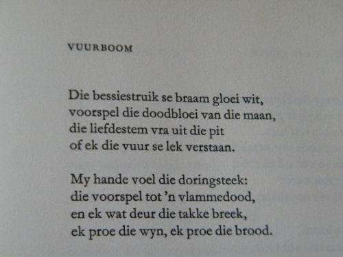 3 X ERNST VAN HEERDEN: Die Ligtende Trein, Tyd van verhuising en Op die mespunt