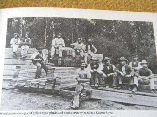 OUR GREEN HERITAGE: The South African Book of Trees  by Immelman, Wicht and Ackerman