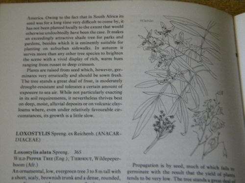 OUR GREEN HERITAGE: The South African Book of Trees  by Immelman, Wicht and Ackerman