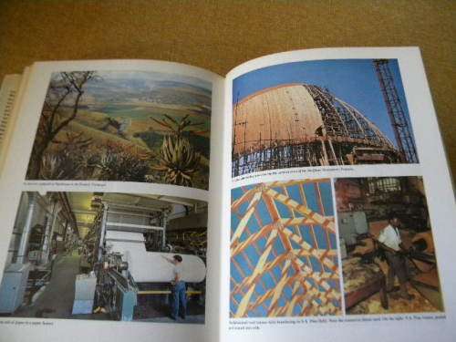 OUR GREEN HERITAGE: The South African Book of Trees  by Immelman, Wicht and Ackerman