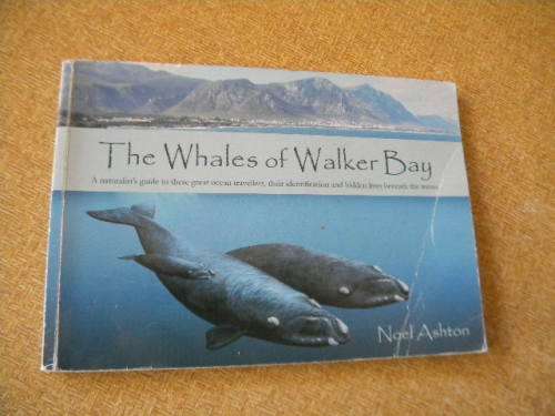 THE WHALES OF WALKER BAY  Written and illustrated by Noel Ashton