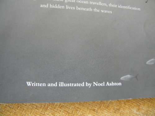 THE WHALES OF WALKER BAY  Written and illustrated by Noel Ashton