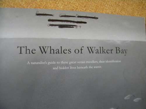 THE WHALES OF WALKER BAY  Written and illustrated by Noel Ashton