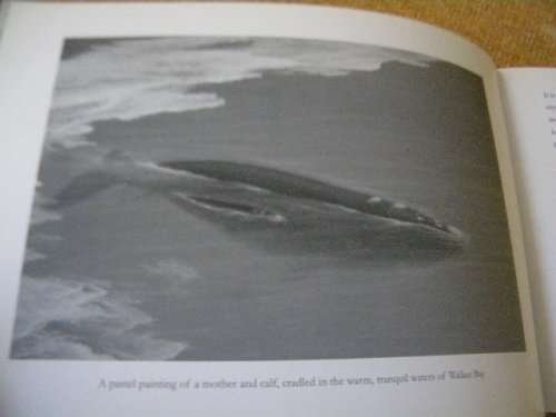 THE WHALES OF WALKER BAY  Written and illustrated by Noel Ashton