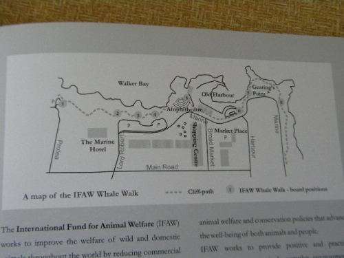 THE WHALES OF WALKER BAY  Written and illustrated by Noel Ashton