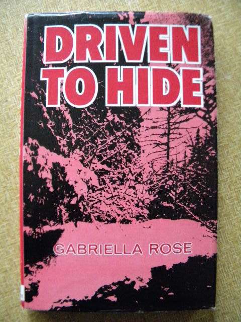 DRIVE TO HIDE  by Gabriella Rose  (A true life drama)