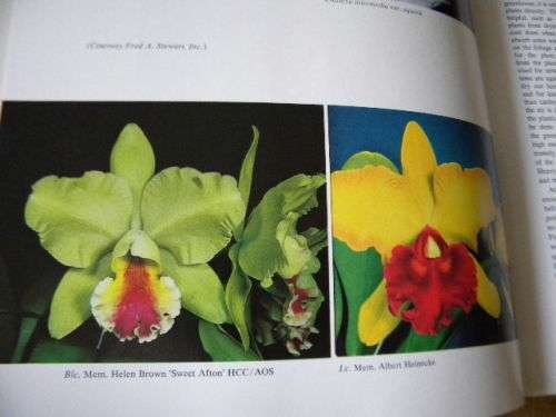 HOME ORCHID GROWING (Third edition)  by Rebecca Tyson Northen