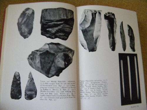 THE HISTORY OF MAN From the first Human to Primitive Culture and Beyond  by Carleton S. Coon