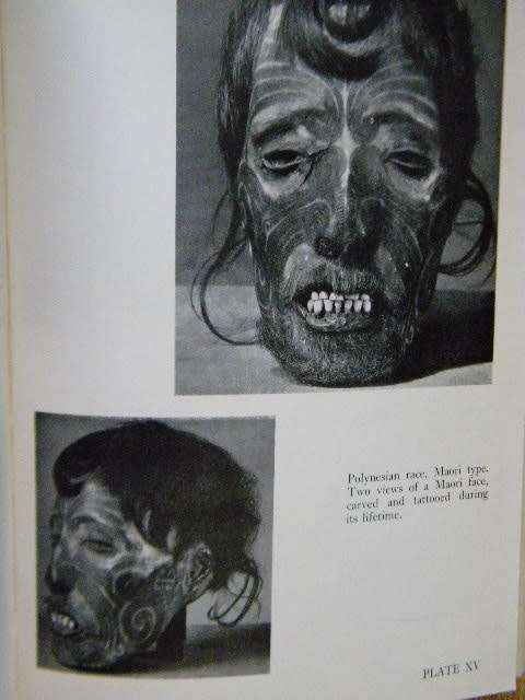 THE HISTORY OF MAN From the first Human to Primitive Culture and Beyond  by Carleton S. Coon
