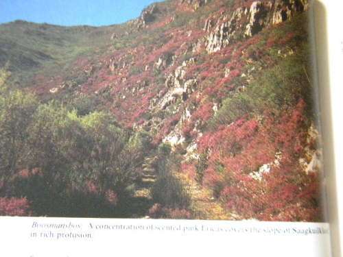 CAPE TOWN TRAILS AND WILDERNESS AREAS  by Jose Burman