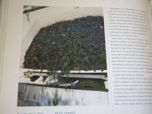 SOUTH AFRICAN WINE  A Celebration  by Wendy Toerien