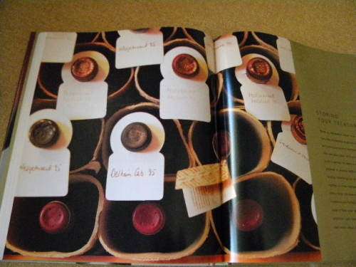 SOUTH AFRICAN WINE  A Celebration  by Wendy Toerien