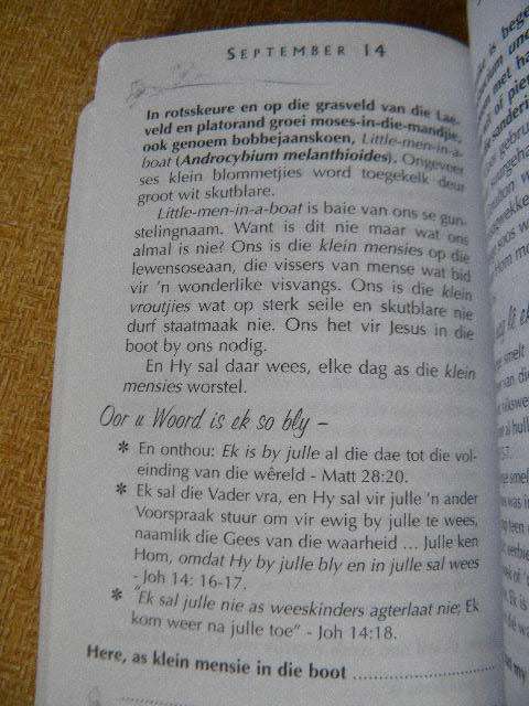 VREUGDEKRUID EN VREDE Dagstukke vir vroue  deur Maretha Maartens