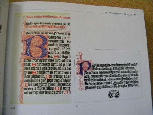 MEGG`S HISTORY OF GRAPHIC DESIGN  by Philip Megg and Alston W. Purvis  (Fourth Edition)