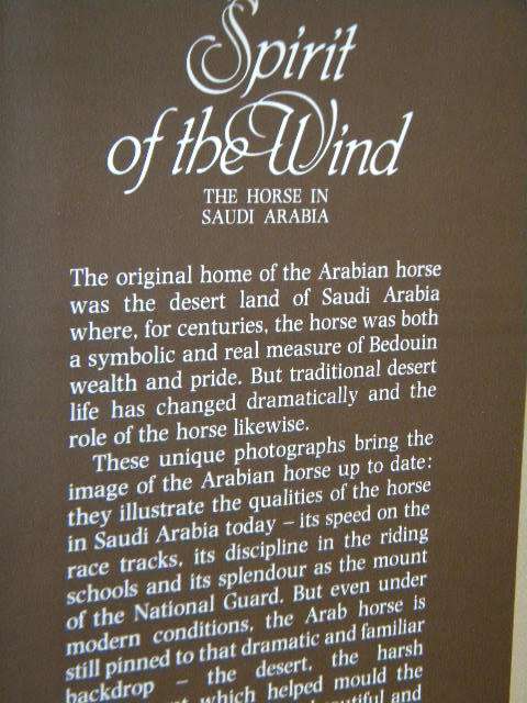 SPIRIT OF THE WIND  The horse in Saudi Arabia  IMMEL Publishing