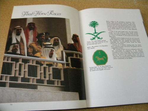 SPIRIT OF THE WIND  The horse in Saudi Arabia  IMMEL Publishing