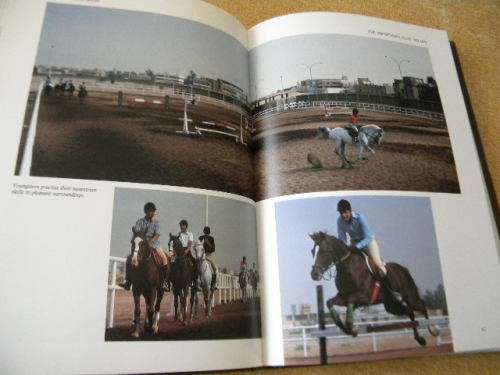 SPIRIT OF THE WIND  The horse in Saudi Arabia  IMMEL Publishing