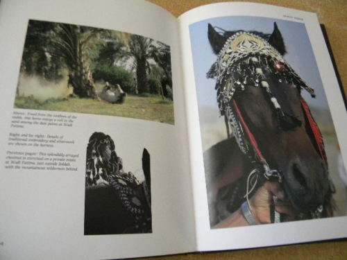 SPIRIT OF THE WIND  The horse in Saudi Arabia  IMMEL Publishing